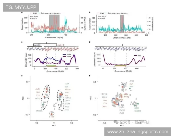 广州排球队配合表现的数据分析与战术优化研究