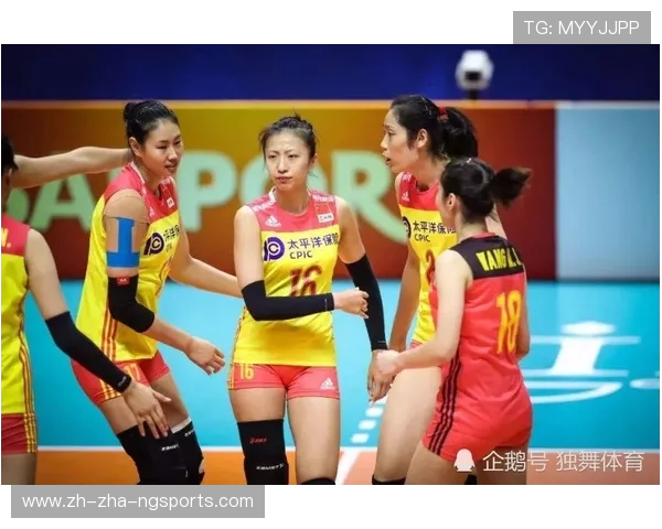 排球配合排行榜：深圳排球队位居第2名